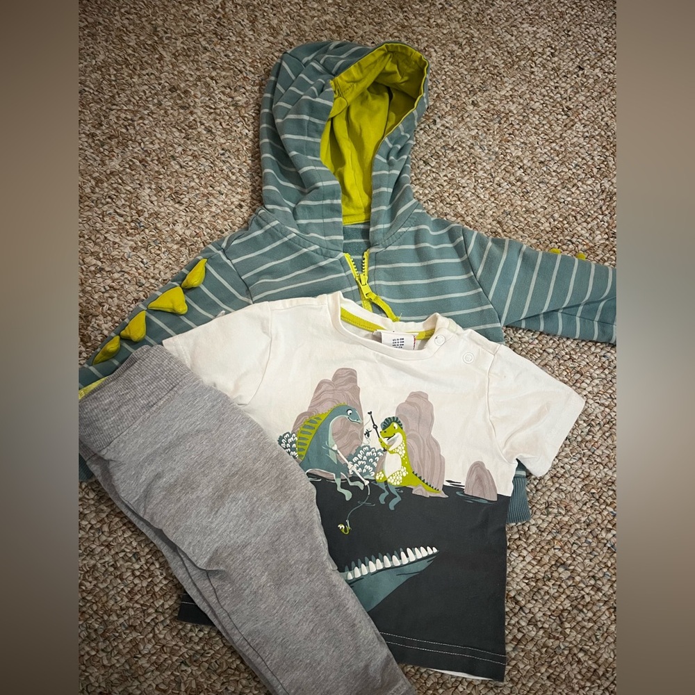Striped Green and Gray Dinosaur 🦕 Set